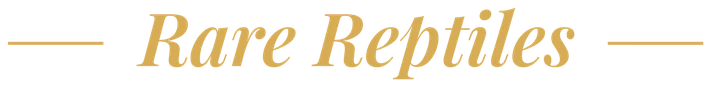Rare Reptiles